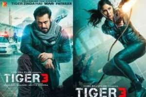 Tiger 3 Film Review