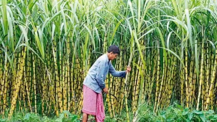 ISMA Demand For Price Hike Of Ethanol .