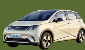 BYD Dolphin ev , Launch date in India, image - social media